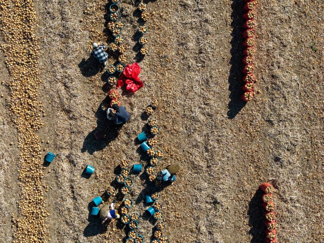 Konya Ovası’nda tablo gibi hasat 5